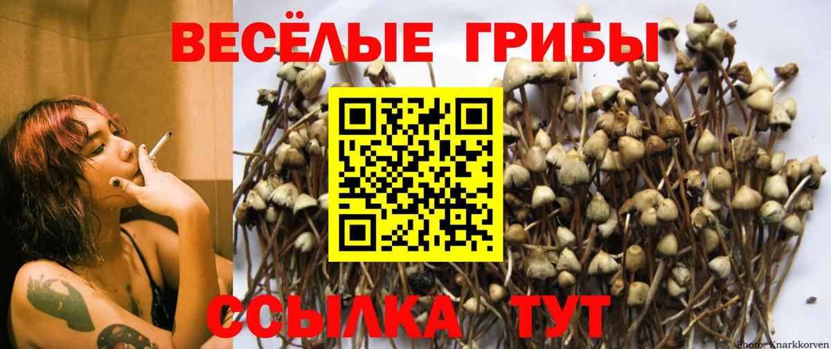 Псилоцибиновые грибы мухоморы  Вход с VPN  наркота  Тимашёвск 