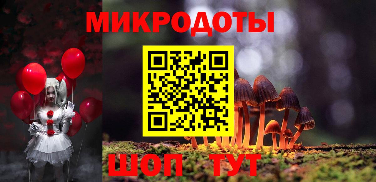 Псилоцибиновые грибы Psilocybine cubensis Тимашёвск